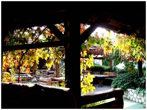 ������ ��� �� ��������� ������